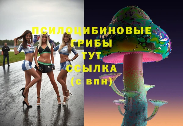 твердый Володарск