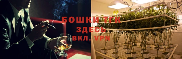 твердый Володарск