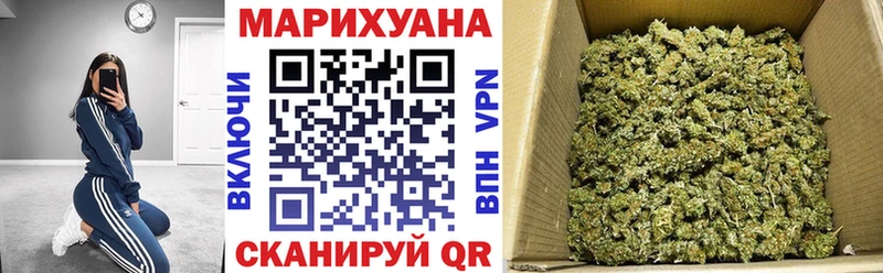 Каннабис сатива  Борисоглебск 